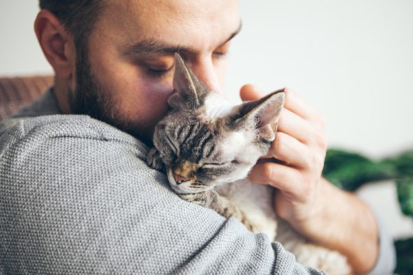 Traveller Comfort Pack Cat Easy Start