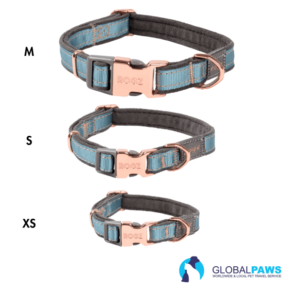 Rogz Dog Urban Classic Collar - Image 4