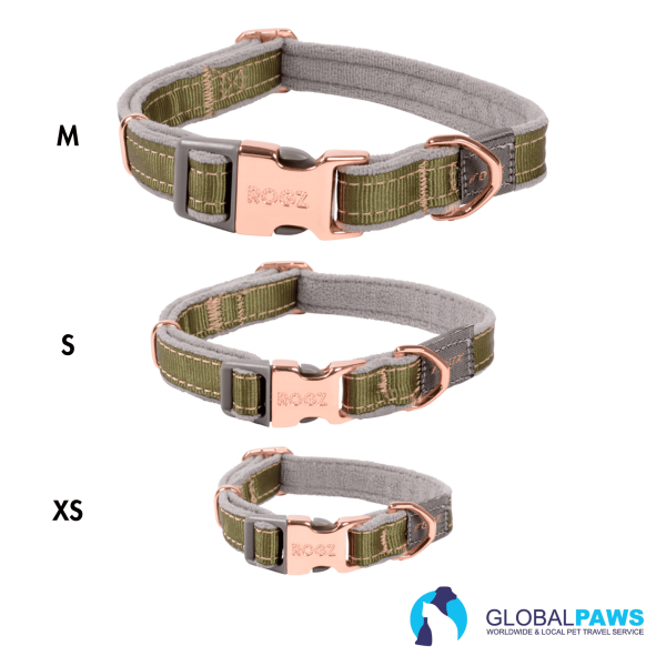 Rogz Dog Urban Classic Collar - Image 7