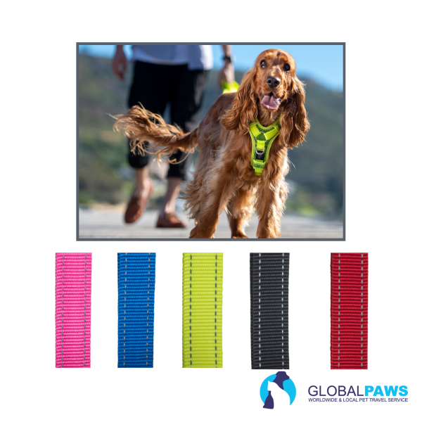 Rogz Dog Utility Control Harness