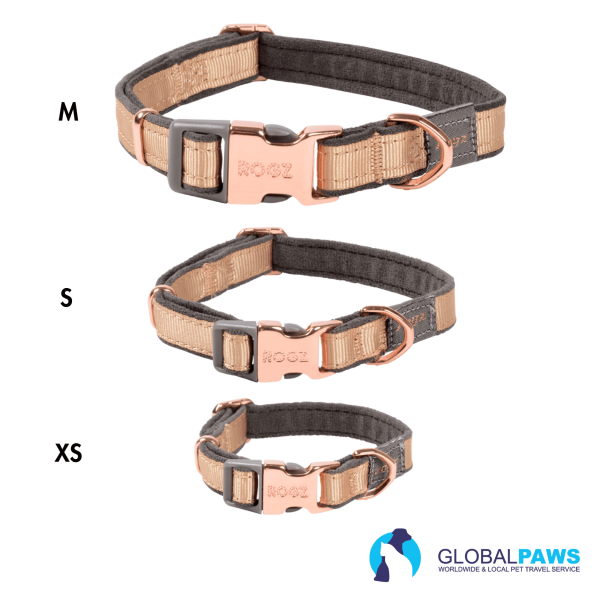 Rogz Dog Urban Classic Collar - Image 6
