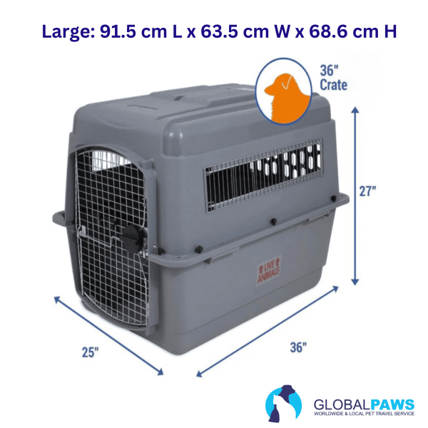 Plastic Pet Box Large - Petmate Sky Kennel