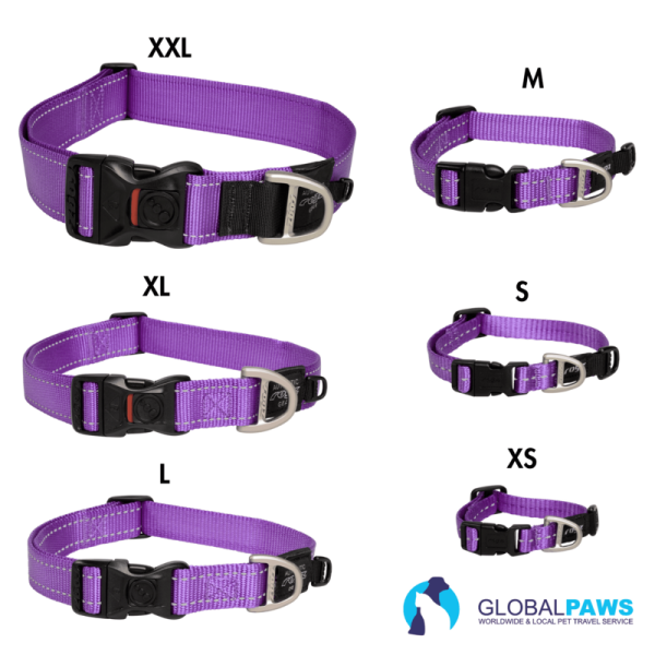 Rogz Dog Utility Collar Classic - Image 3