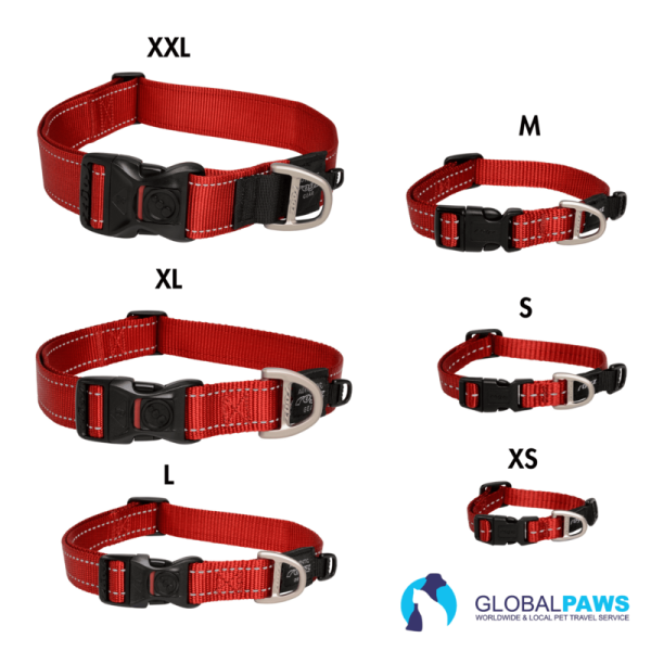Rogz Dog Utility Collar Classic - Image 5
