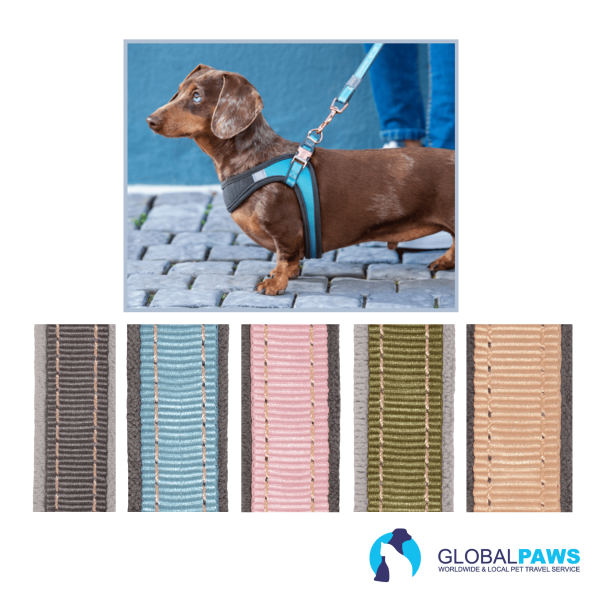 Rogz Dog Urban Classic Lead