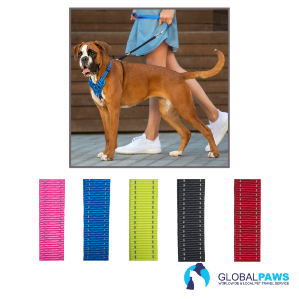 Rogz Dog Utility Harness Stop Pull