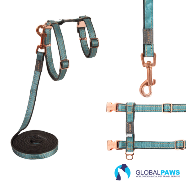 Rogz UrbanCat Harness and Lead Set - Image 3