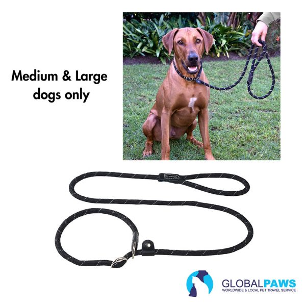 Traveler Comfort Pack Dog Easy Start - Image 5
