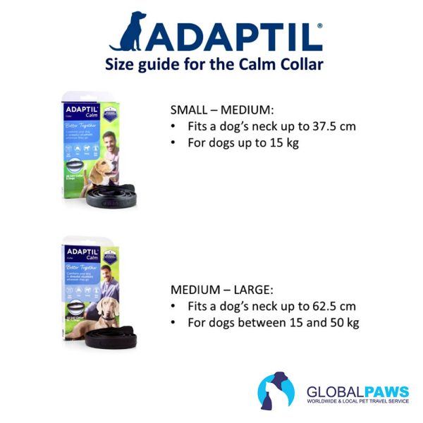 Traveler Comfort Pack Dog Easy Start - Image 6
