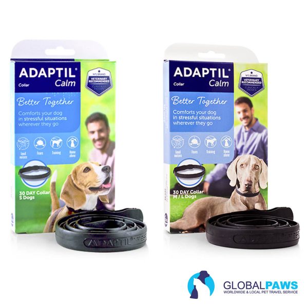 Traveler Comfort Pack Dog Easy Start - Image 7