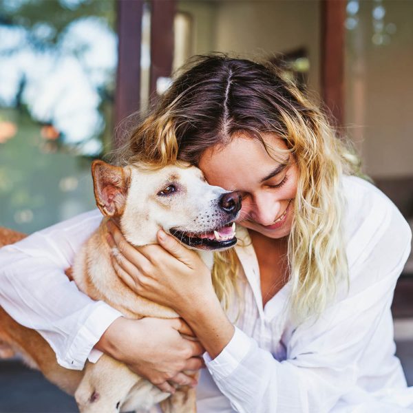 Traveler Comfort Pack Dog Easy Start