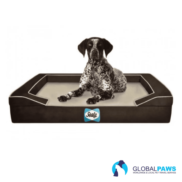 Sealy Lux Premium Orthopaedic Dog Bed