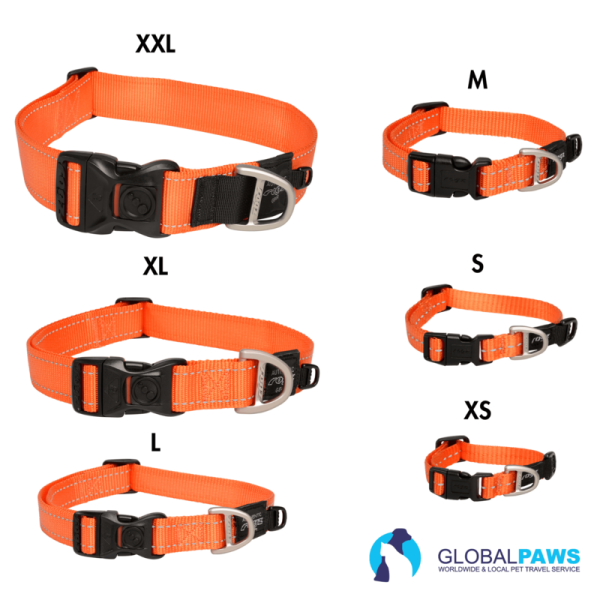 Rogz Dog Utility Collar Classic - Image 9