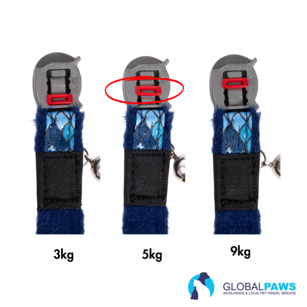 Rogz FasionCat Safety Collar - Image 7