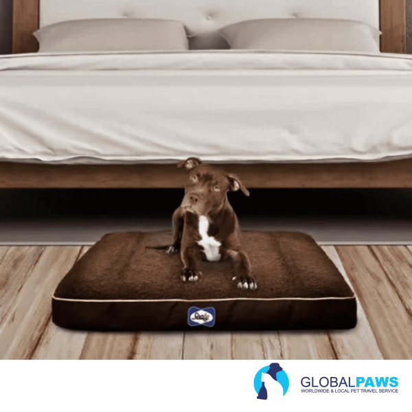 Sealy Cushy Comfy Orthopaedic Dog Bed - Image 2