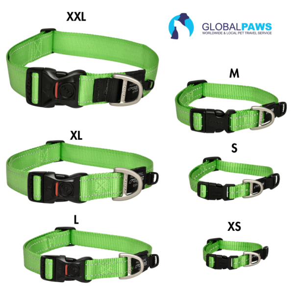 Rogz Dog Utility Collar Classic - Image 8