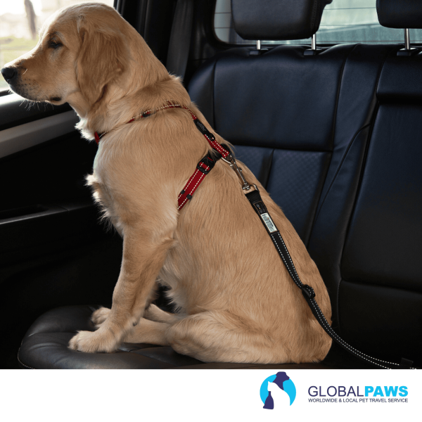 Rogz Dog Utility Car Safe Seat Belt Clip