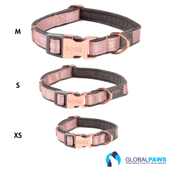 Rogz Dog Urban Classic Collar - Image 3
