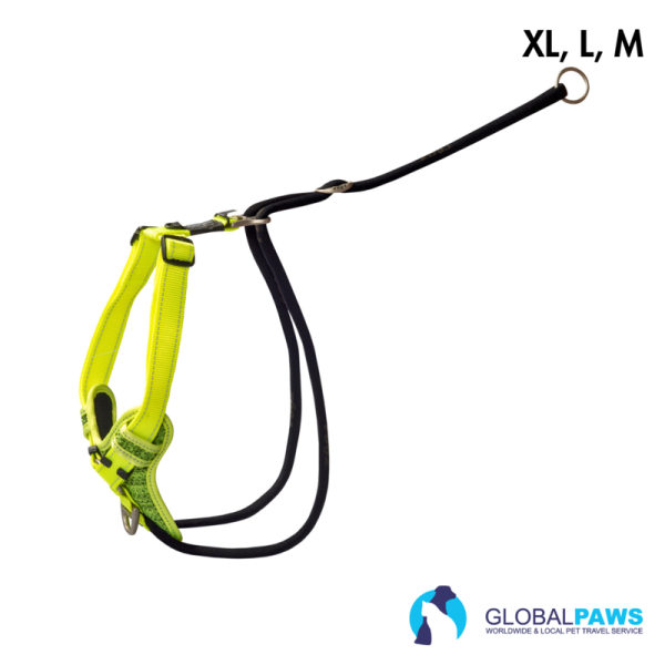 Rogz Dog Utility Harness Stop Pull - Image 3