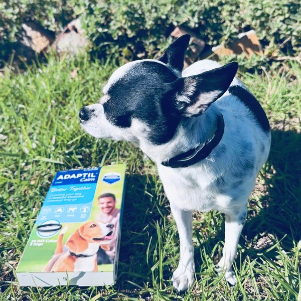 Adaptil Calm Collar Dogs - Image 2