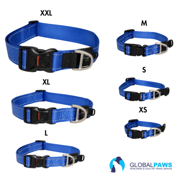 Rogz Dog Utility Collar Classic - Image 7
