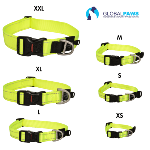 Rogz Dog Utility Collar Classic - Image 6