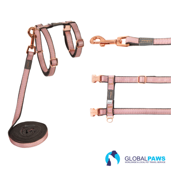 Rogz UrbanCat Harness and Lead Set - Image 2