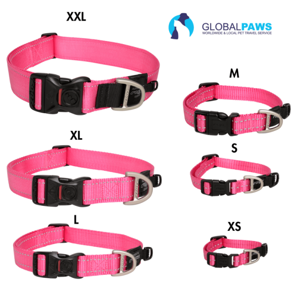 Rogz Dog Utility Collar Classic - Image 10