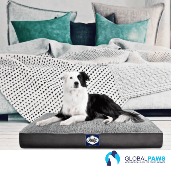 Sealy Cushy Comfy Orthopaedic Dog Bed