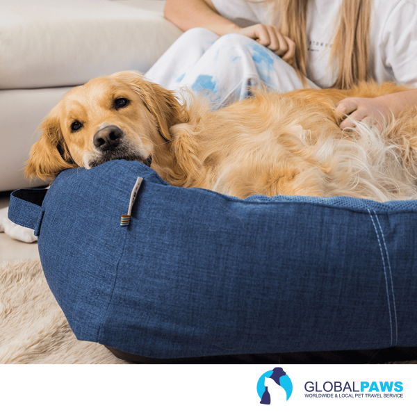 Rogz Pet Bed Lounge Walled Rectangular - Image 7