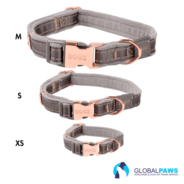 Rogz Dog Urban Classic Collar - Image 2