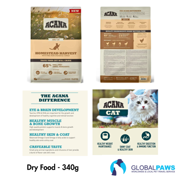 Traveller Comfort Pack Cat Easy Start - Image 6