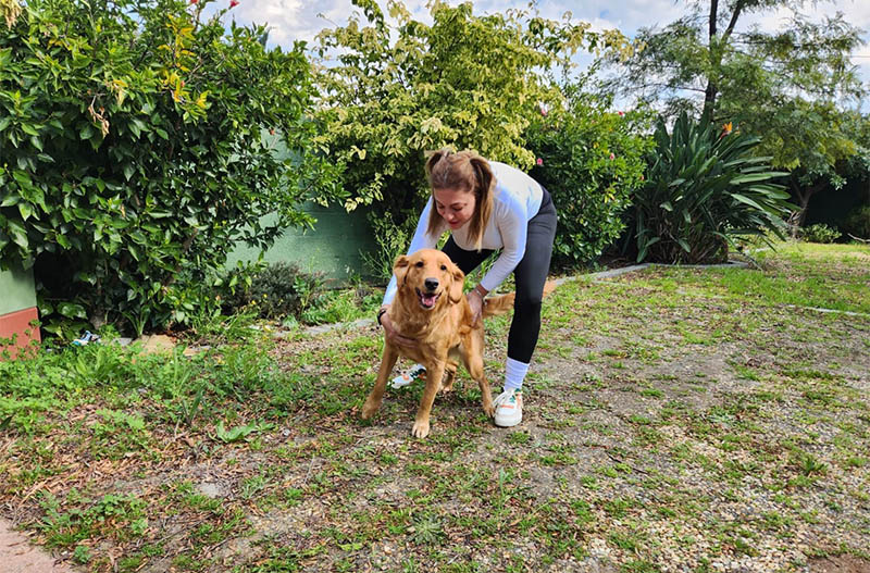 Global Paws