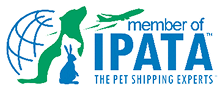 IPATA